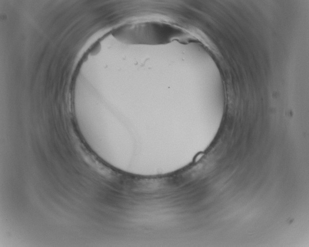 X0000076311044200610271934