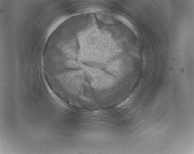 X0000076311047200610271934