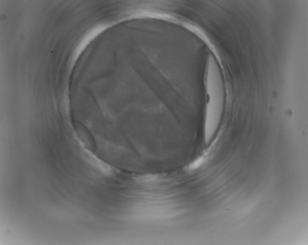 X0000076311048200610271934