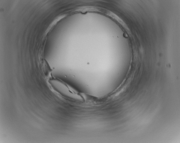 X0000076311049200610271934