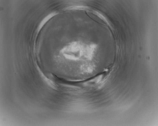 X0000076311050200610271934