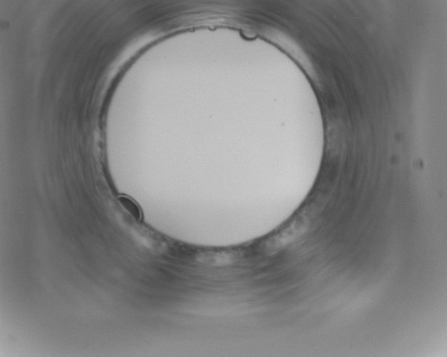 X0000076311051200610271934