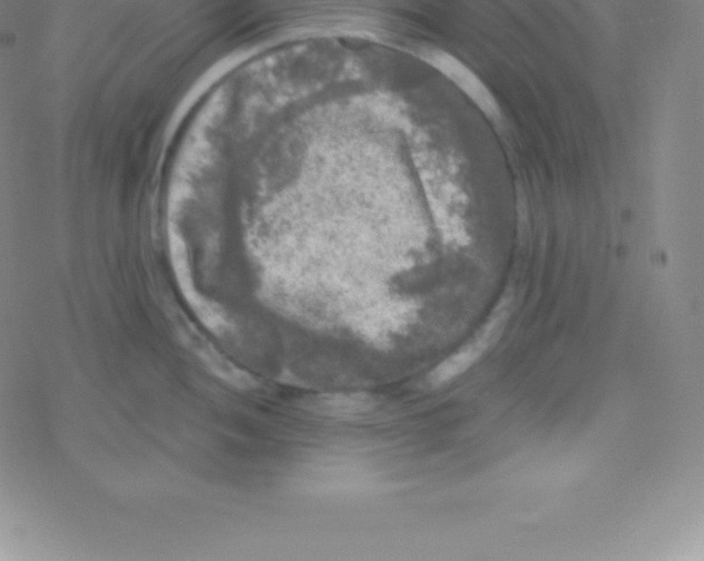 X0000076311052200610271934