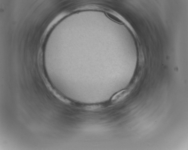 X0000076311053200610271934