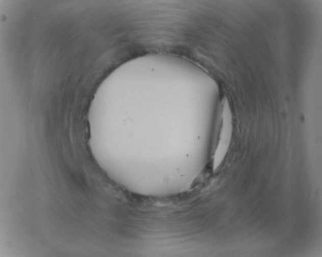 X0000076311057200610271934