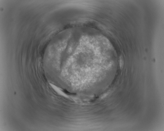 X0000076311059200610271933