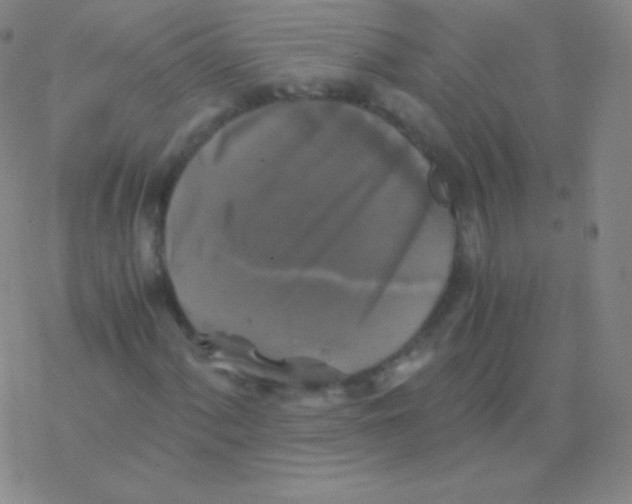 X0000076311060200610271933