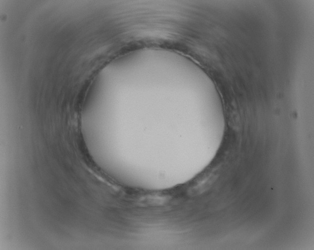 X0000076311061200610271933