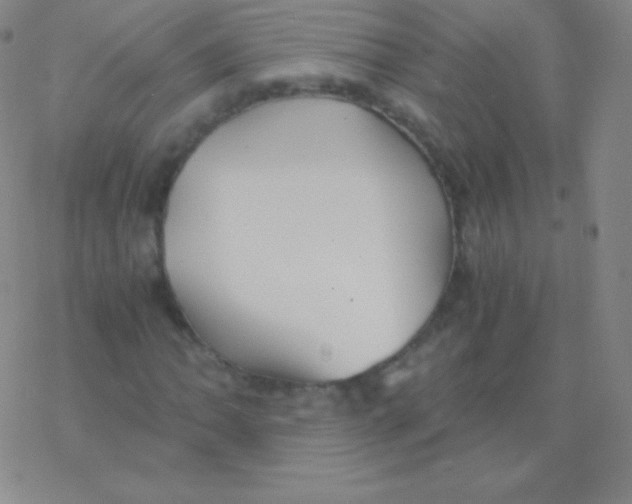 X0000076311062200610271933