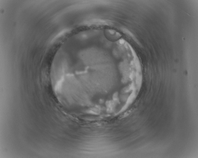 X0000076311063200610271933