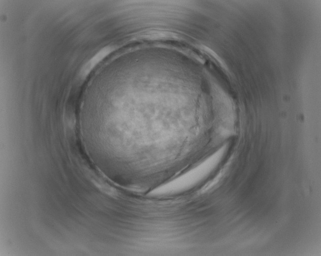 X0000076311065200610271933