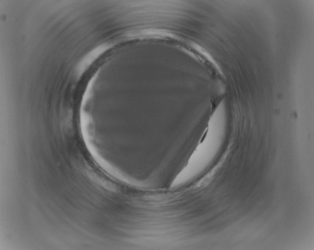 X0000076311066200610271933