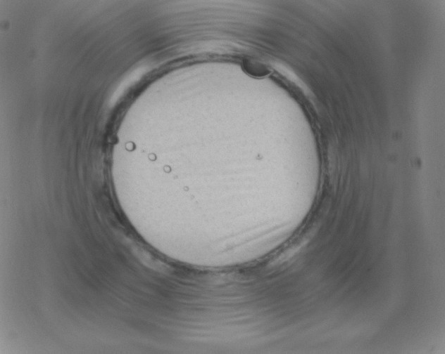 X0000076311067200610271933