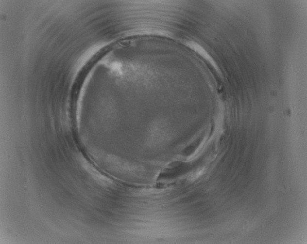 X0000076311068200610271933