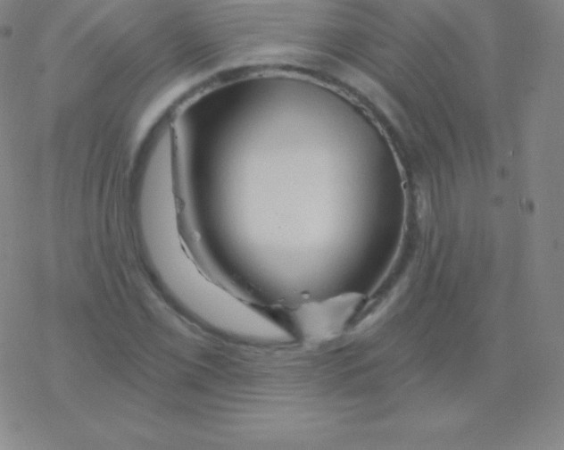 X0000076311069200610271933