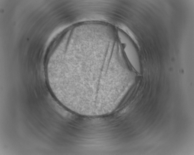 X0000076311072200610271933