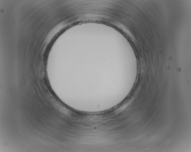 X0000076311075200610271933