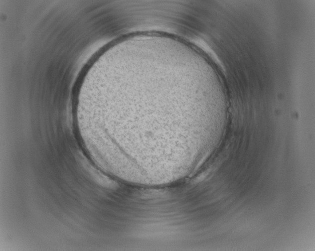 X0000076311076200610271933