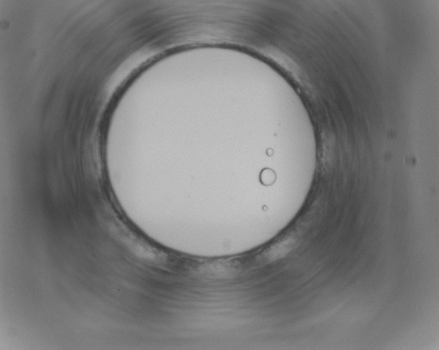 X0000076311078200610271933