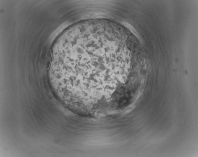 X0000076311081200610271933