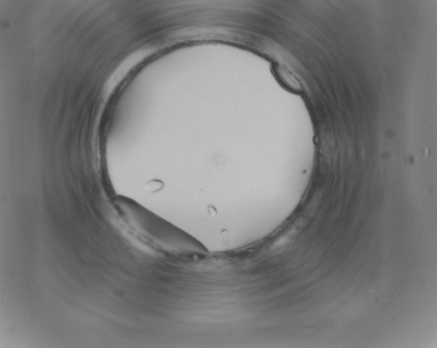 X0000076311082200610271933