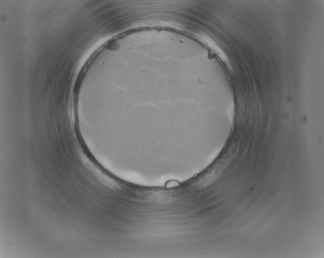 X0000076311084200610271933