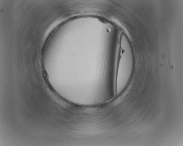 X0000076311085200610271933