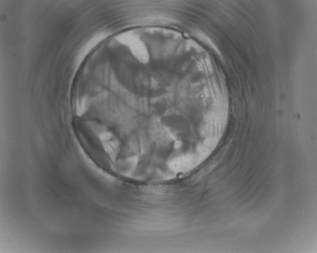 X0000076311087200610271933