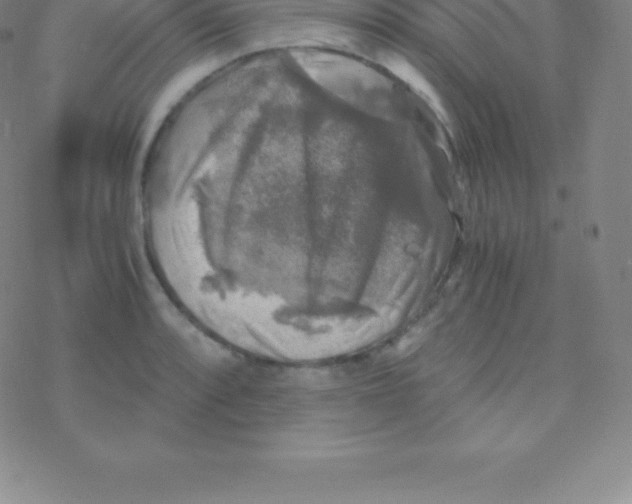 X0000076311088200610271933