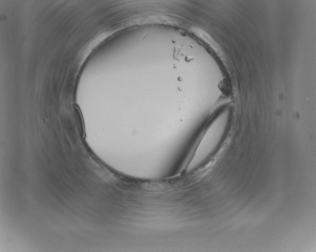 X0000076311089200610271933