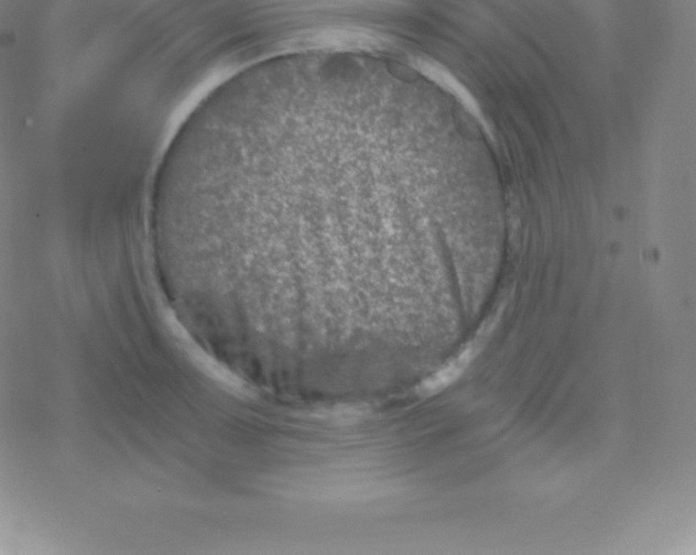 X0000076311091200610271933