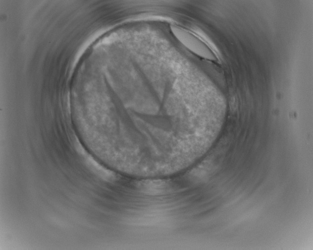 X0000076311092200610271933