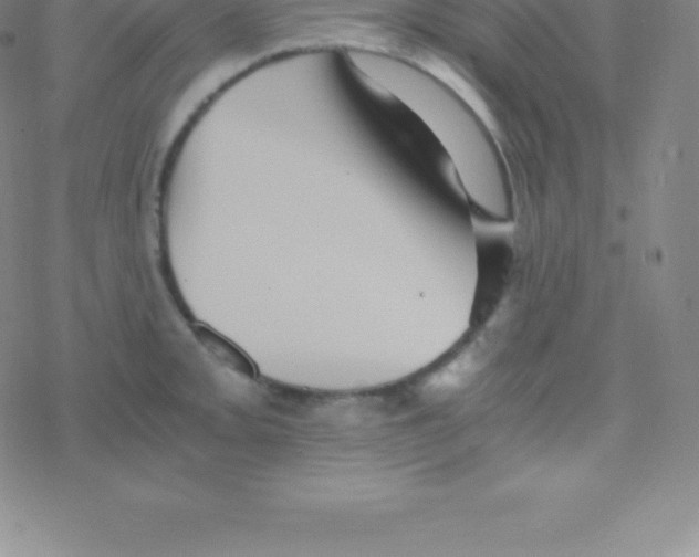 X0000076311093200610271933