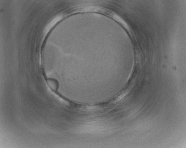 X0000076311095200610271933