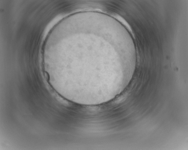 X0000076311096200610271933