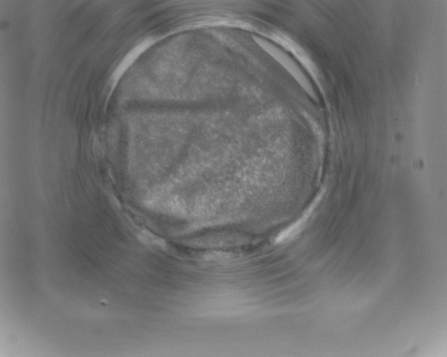 X0000076311097200610271933