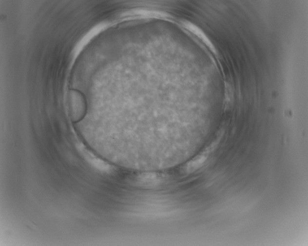 X0000076311098200610271933