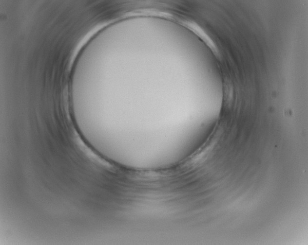 X0000076311100200610271933