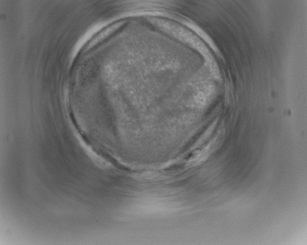 X0000076311101200610271933