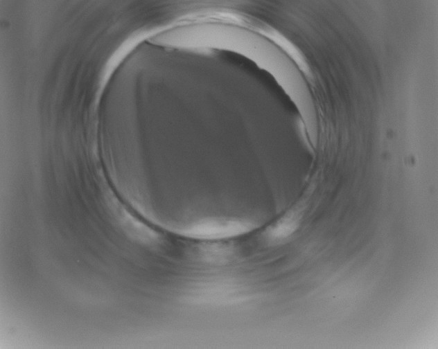 X0000076311102200610271933