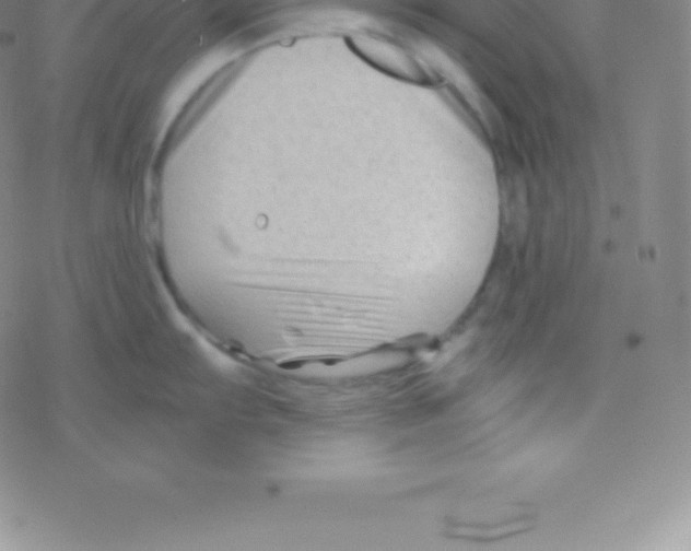 X0000076311103200610271933