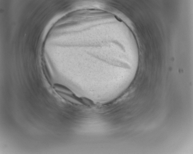 X0000076311104200610271933