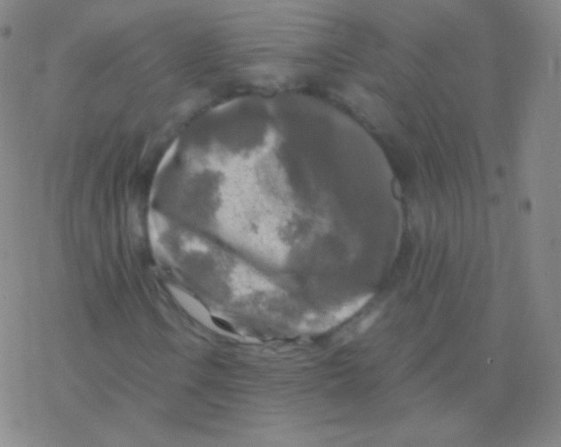 X0000076311106200610271932