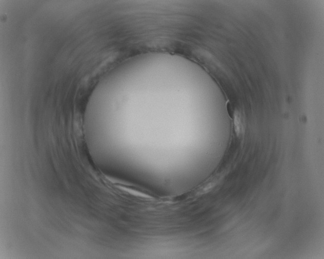 X0000076311107200610271932