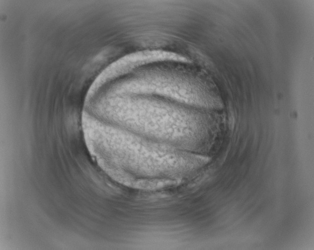 X0000076311108200610271932