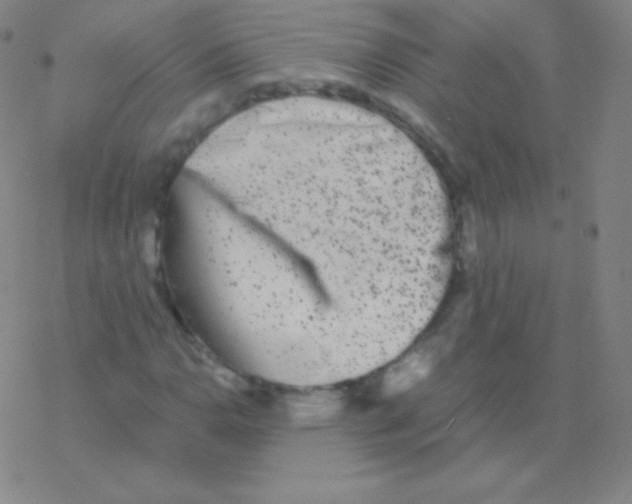 X0000076311110200610271932