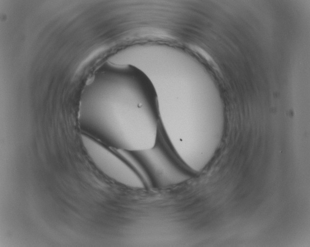 X0000076311112200610271932