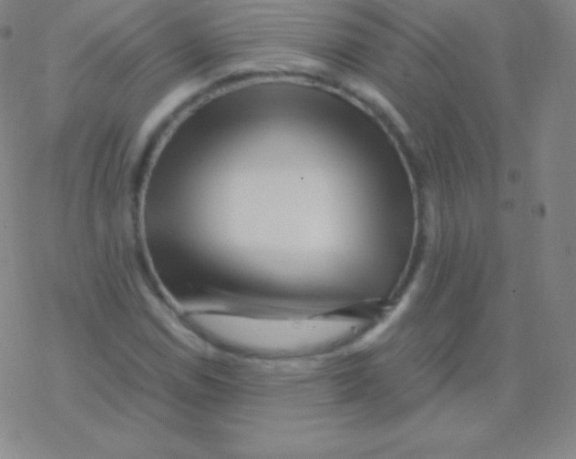 X0000076311114200610271932