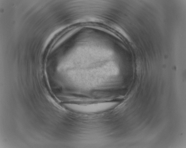 X0000076311116200610271932