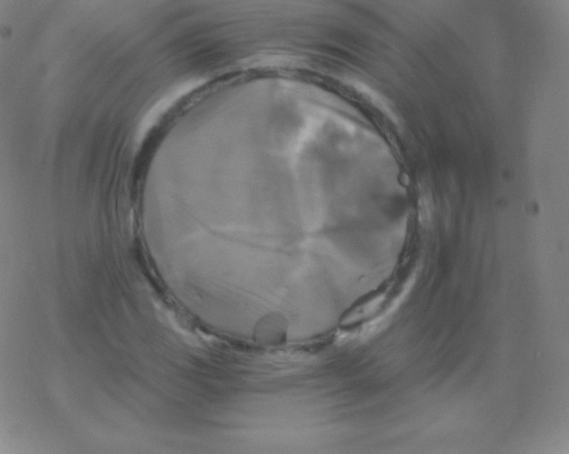 X0000076311117200610271932